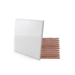 Imagen de Cerámica para piso y pared Blanco 20x20 cm Mate