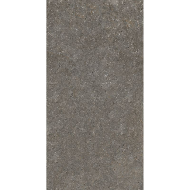 Imagen de Porcelanato para piso y pared Ravena Mate 61x120 cm Mate y Rectificado
