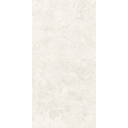 Imagen de Porcelanato para piso y pared Ritual OFW 60x120 cm Mate y Rectificado