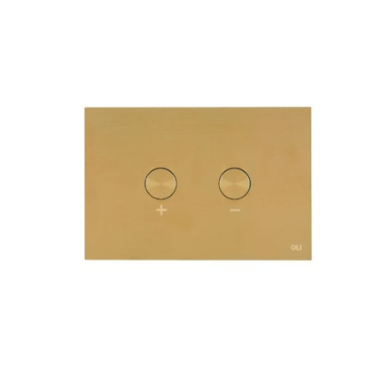 Imagen de Placa pulsador Blink Oro cepillado OLI