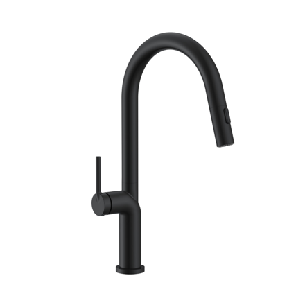 Imagen de Grifería de Cocina Monocomando de mesada Eon Curvo Extensible Negro Mate